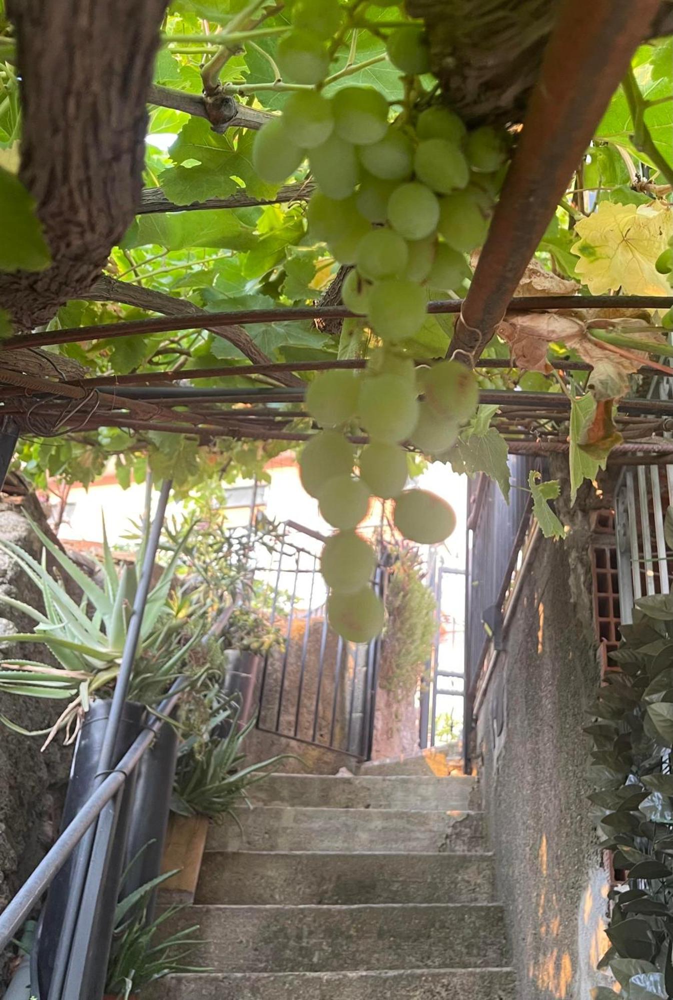 The Secret Garden Villa Forza dʼAgro Buitenkant foto